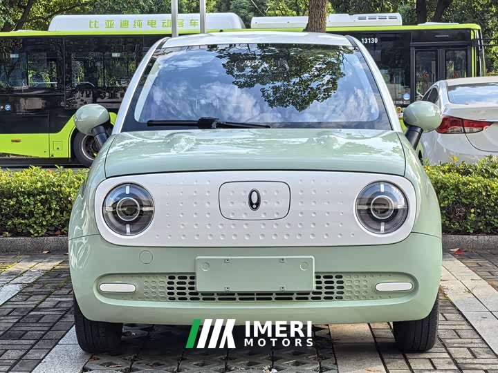 ORA Black Cat 301km Cute Pet Edition LFP Battery - ავტომობილი ჩინეთიდან