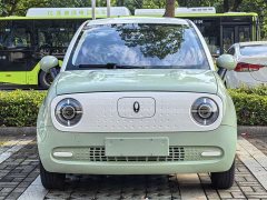 ORA Black Cat 301km Cute Pet Edition LFP Battery - ფოტო 1
