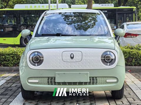 2022 ORA Black Cat 301km Cute Pet Edition LFP Battery - ავტომობილი ჩინეთიდან