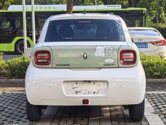 ORA Black Cat 301km Cute Pet Edition LFP Battery - ფოტო 8