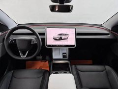 Tesla Model Y Rear-Wheel Drive - ფოტო 10