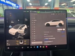 Tesla Model Y Rear-Wheel Drive - ფოტო 8