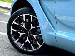 Aston Martin DBX 4.0T V8 - ფოტო 18