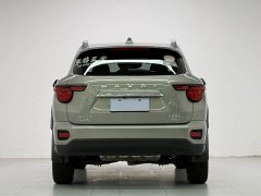 Haval Big Dog PLUS 2.0T Two-Wheel Drive Trendy Wilderness Edition Plus - фото 6