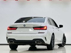 BMW 3 Series 320Li M Sport Package - ფოტო 9