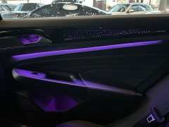 Volkswagen Passat 330TSI Starry Sky Elite - ფოტო 14