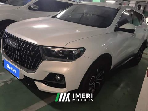 2023 Haval H6 National Trend Edition 1.5T Automatic Urban Version - ავტომობილი ჩინეთიდან