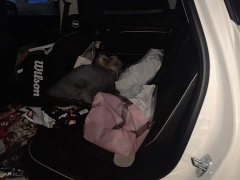 Haval H6 National Trend Edition 1.5T Automatic Urban Version - photo 11