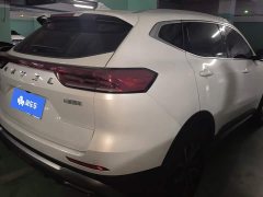 Haval H6 National Trend Edition 1.5T Automatic Urban Version - photo 3