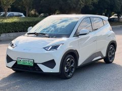 BYD Seagull Smart Drive 405km Freedom Edition - photo 1