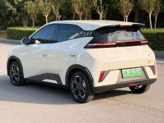 BYD Seagull Smart Drive 405km Freedom Edition - photo 13