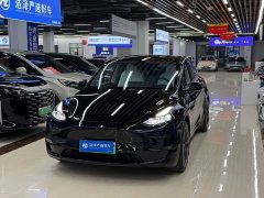 Tesla Model Y Standard Range RWD - ფოტო 1