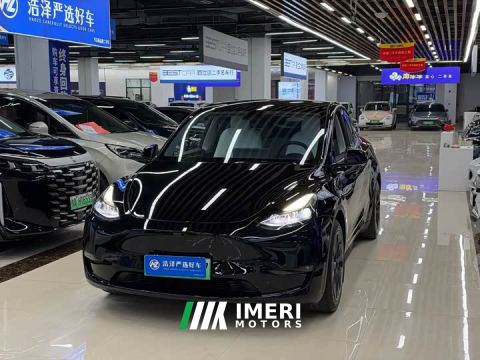 2021 Tesla Model Y Standard Range RWD