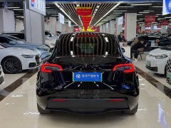 Tesla Model Y Standard Range RWD - ფოტო 5