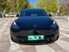 Tesla Model Y Standard Range RWD - фото 1