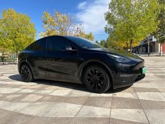 Tesla Model Y Standard Range RWD - фото 3