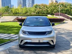 BYD Dolphin 420km Fashion Edition - ფოტო 2