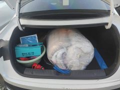 Changan Yida Blue Whale NE 1.5T GDI DCT Comfort Edition - photo 4