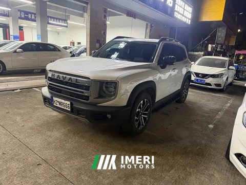 2025 Great Wall Dachshund 1.5T DCT Border Collie Edition - car from China