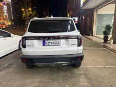 Great Wall Dachshund 1.5T DCT Border Collie Edition - ფოტო 5