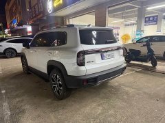 Great Wall Dachshund 1.5T DCT Border Collie Edition - ფოტო 6
