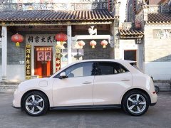 ORA Good Cat 400km Standard Range Athena Edition LFP Battery - ფოტო 11