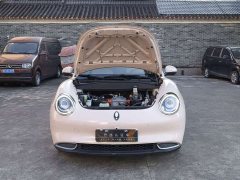 ORA Good Cat 400km Standard Range Athena Edition LFP Battery - ფოტო 14