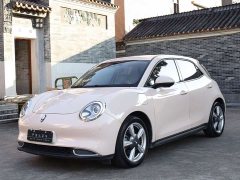 ORA Good Cat 400km Standard Range Athena Edition LFP Battery - ფოტო 2