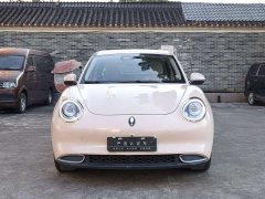 ORA Good Cat 400km Standard Range Athena Edition LFP Battery - ფოტო 3