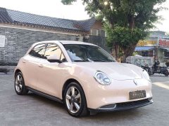 ORA Good Cat 400km Standard Range Athena Edition LFP Battery - ფოტო 4