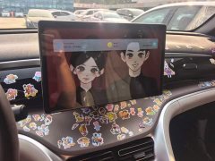 BYD Song Pro New Energy Champion Edition DM-i 71KM Exceed - фото 13