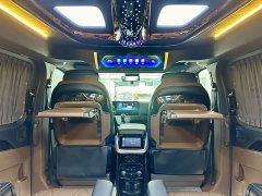 Voyah Watson Wilford Black Knight 2.0T Diesel chase edition - фото 5