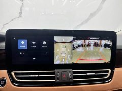 FAW Red Flag HQ9 PHEV 2.0T AWD Luxury - ფოტო 15