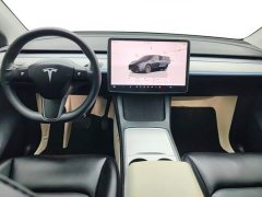 Tesla Model Y Rear-Wheel Drive - ფოტო 12