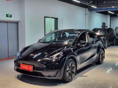 Tesla Model Y Rear-Wheel Drive - фото 1