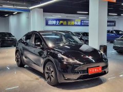 Tesla Model Y Rear-Wheel Drive - фото 3