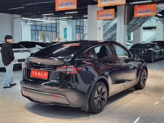 Tesla Model Y Rear-Wheel Drive - фото 7