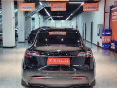 Tesla Model Y Rear-Wheel Drive - фото 8