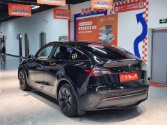 Tesla Model Y Rear-Wheel Drive - фото 9