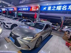 Lexus ES 300h Premium Edition - photo 1
