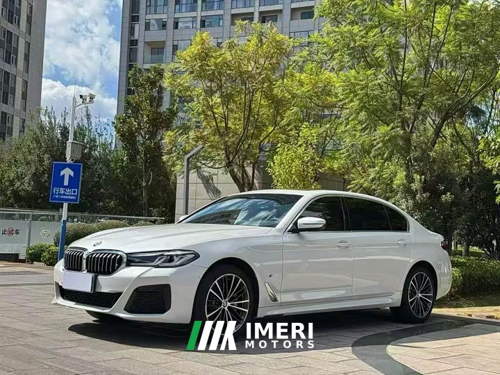 BMW 5 Series 530Li Premier M Sport Package - автомобиль из Китая