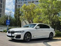 BMW 5 Series 530Li Premier M Sport Package - фото 1