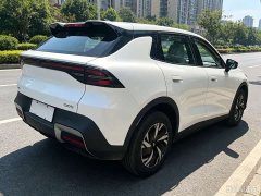 Changan Qiyuan Q05 405Air - ფოტო 14