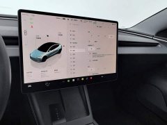 Tesla Model 3 Rear-Wheel Drive - photo 12