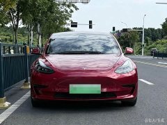 Tesla Model 3 Rear-Wheel Drive - ფოტო 2