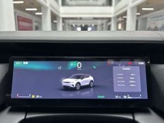 Lynk & Co 06 EM-P 126 Extended Range Halo - ფოტო 6