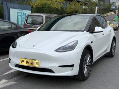 Tesla Model Y Rear-Wheel Drive - ფოტო 1