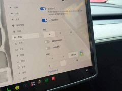 Tesla Model Y Rear-Wheel Drive - ფოტო 10