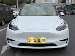 Tesla Model Y Rear-Wheel Drive - ფოტო 2