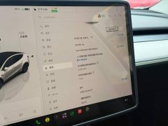Tesla Model Y Rear-Wheel Drive - ფოტო 8